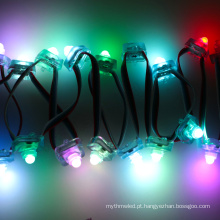 A cor quadrada do rgb de 12mm DMX que muda conduziu a luz da árvore de Natal da tira do dmx